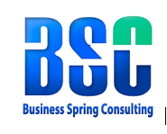BUSINESS SPRING CONSULTING